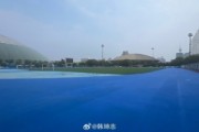 电竞视频-天津奥体中心外场更换草皮跑道，记者：这是津门虎惦记的